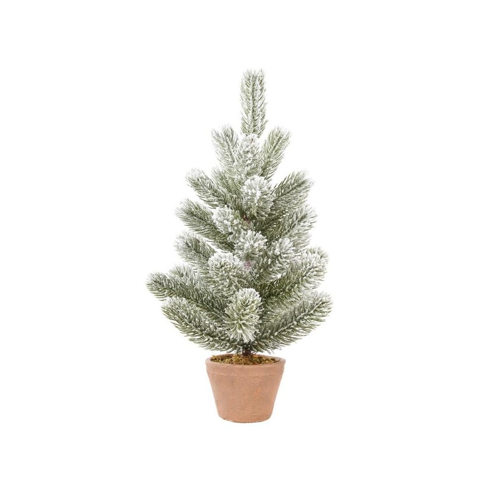 PINETTO WHITE VIRGINIA CON VAS